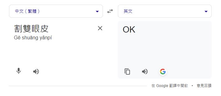 割雙眼皮英文怎麼說？Google翻譯竟回「OK」全網笑：不務正業