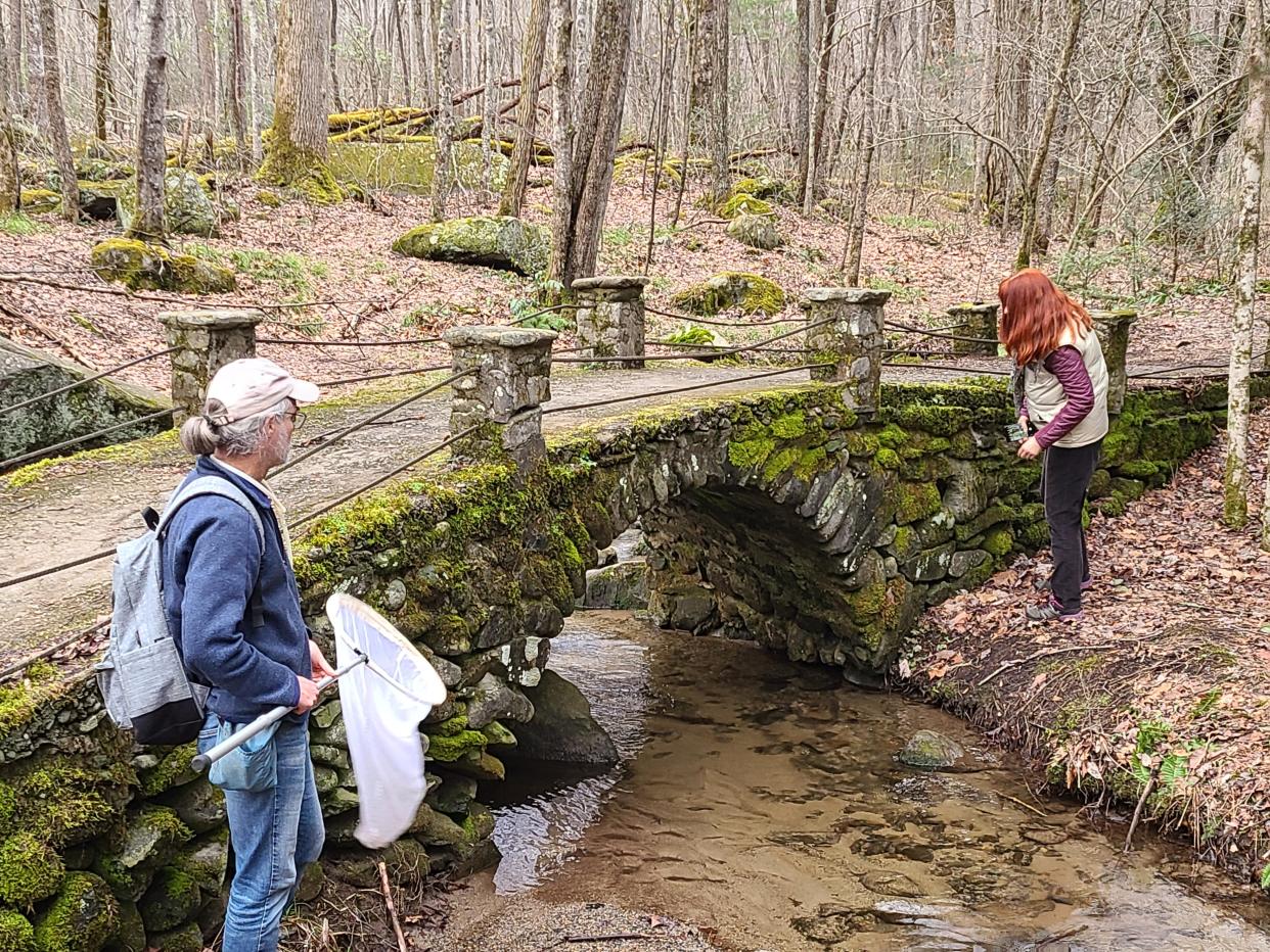 Scientists take a break from sifting through the collections at Twin Creeks Science and Education Center to capture some new specimens off the Little River Trail at Elkmont.