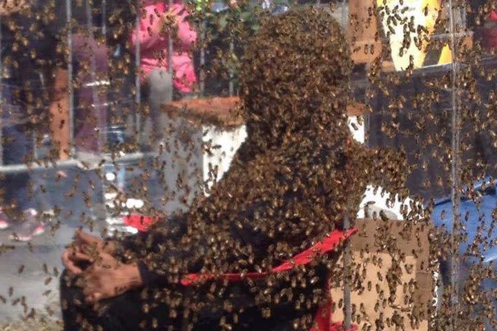 <p>A man in Canada covered his head in bees for just over an hour in downtown Toronto Wednesday, as you do, to promote the release of a new movie.</p> <p>Juan Carlos Noguez Ortiz from nearby Dickey Bee Honey Farm grew what's known by practitioners of the bizarre ritual as a "bee beard" for the stunt, which saw him engulfed in insects for 61 excruciating minutes.</p> <p>He smashed the previous record of 53 minutes, 34 seconds, <a rel="nofollow noopener" href="http://www.cbc.ca/news/canada/toronto/guinness-world-record-bee-beard-1.4269351" target="_blank" data-ylk="slk:according to;elm:context_link;itc:0;sec:content-canvas" class="link ">according to</a> local media who were watching the horror at the city's Yonge-Dundas Square.</p> <div><p>SEE ALSO: <a rel="nofollow noopener" href="http://mashable.com/2017/07/30/mosquito-bite-shaming/?utm_campaign=Mash-BD-Synd-Yahoo-Watercooler-Full&utm_cid=Mash-BD-Synd-Yahoo-Watercooler-Full" target="_blank" data-ylk="slk:Stop telling people not to worry about mosquito bites if you don't get mosquito bites;elm:context_link;itc:0;sec:content-canvas" class="link ">Stop telling people not to worry about mosquito bites if you don't get mosquito bites</a></p></div> <p>100,000 bees were used from the nearby farm, according to its master beekeeper Peter Dickey. "But we brought the gentle ones," he insisted, because "that is very important when we are doing the bearding."</p> <div><div><blockquote> <p>Our <a rel="nofollow noopener" href="https://twitter.com/GWR" target="_blank" data-ylk="slk:@GWR;elm:context_link;itc:0;sec:content-canvas" class="link ">@GWR</a> attempt underway at <a rel="nofollow noopener" href="https://twitter.com/YDSquare" target="_blank" data-ylk="slk:@YDSquare;elm:context_link;itc:0;sec:content-canvas" class="link ">@YDSquare</a> for <a rel="nofollow noopener" href="https://twitter.com/hashtag/BloodHoney?src=hash" target="_blank" data-ylk="slk:#BloodHoney;elm:context_link;itc:0;sec:content-canvas" class="link ">#BloodHoney</a> with <a rel="nofollow noopener" href="https://twitter.com/dickeybeehoney" target="_blank" data-ylk="slk:@dickeybeehoney;elm:context_link;itc:0;sec:content-canvas" class="link ">@dickeybeehoney</a>! <br><br>Wish Juan luck 🐝🍯🇨🇦 <br>Watch: <a rel="nofollow noopener" href="https://t.co/8zAhIfNJDe" target="_blank" data-ylk="slk:https://t.co/8zAhIfNJDe;elm:context_link;itc:0;sec:content-canvas" class="link ">https://t.co/8zAhIfNJDe</a> <a rel="nofollow noopener" href="https://t.co/8cma761Gts" target="_blank" data-ylk="slk:pic.twitter.com/8cma761Gts;elm:context_link;itc:0;sec:content-canvas" class="link ">pic.twitter.com/8cma761Gts</a></p> <p>— Blood Honey (@BloodHoneyMovie) <a rel="nofollow noopener" href="https://twitter.com/BloodHoneyMovie/status/902932973070295040" target="_blank" data-ylk="slk:August 30, 2017;elm:context_link;itc:0;sec:content-canvas" class="link ">August 30, 2017</a></p> </blockquote></div></div>  <p>Dickey's farm also provided the bees for the film the whole stunt was aiming to promote - <em>Blood Honey - </em>which seemingly features blood, honey, and a lot of bees.</p> <div><div><blockquote> <p>A Guinness World Record Event at <a rel="nofollow noopener" href="https://twitter.com/hashtag/YDSquare?src=hash" target="_blank" data-ylk="slk:#YDSquare;elm:context_link;itc:0;sec:content-canvas" class="link ">#YDSquare</a> this week! <br>Wearing a head full of bees to promote the film BLOOD HONEY <a rel="nofollow noopener" href="https://t.co/47znM9gv1X" target="_blank" data-ylk="slk:https://t.co/47znM9gv1X;elm:context_link;itc:0;sec:content-canvas" class="link ">https://t.co/47znM9gv1X</a> <a rel="nofollow noopener" href="https://t.co/QXhEebqJaa" target="_blank" data-ylk="slk:pic.twitter.com/QXhEebqJaa;elm:context_link;itc:0;sec:content-canvas" class="link ">pic.twitter.com/QXhEebqJaa</a></p> <p>— Yonge-Dundas Square (@YDSquare) <a rel="nofollow noopener" href="https://twitter.com/YDSquare/status/902238789917184001" target="_blank" data-ylk="slk:August 28, 2017;elm:context_link;itc:0;sec:content-canvas" class="link ">August 28, 2017</a></p> </blockquote></div></div> <p>Keep an eye out for it.</p> <p>In the meantime, here a few more bee bearding pics to haunt your dreams.</p>  <p>Bees cover beekeeper Gao Bingguo Tai'an, Shandong Province of China in 2014. Gao Bingguo attracted about 326,000 bees, 32.6kg in weight, onto his body in more than one hour after placing nearly 50 queen bees on his body.</p><div><p>Image: VCG via Getty Images</p></div> <p>Bee keeper Bui Duy Nhat stands while thousands of wild bees land on his body, in Nua Ngam commune, Dien Bien province, Vietnam, 26 May 2017.</p><div><p>Image: PHAM NGOC THANH/EPA/REX/Shutterstock</p></div><div><blockquote> <p><a rel="nofollow noopener" href="https://t.co/52DAkRkS4t" target="_blank" data-ylk="slk:pic.twitter.com/52DAkRkS4t;elm:context_link;itc:0;sec:content-canvas" class="link ">pic.twitter.com/52DAkRkS4t</a></p> <p>— MGM (@Marcanadian) <a rel="nofollow noopener" href="https://twitter.com/Marcanadian/status/902936333651456000" target="_blank" data-ylk="slk:August 30, 2017;elm:context_link;itc:0;sec:content-canvas" class="link ">August 30, 2017</a></p> </blockquote></div> <div> <h2><a rel="nofollow noopener" href="http://mashable.com/2017/08/02/sustainable-indoor-vertical-farm/?utm_campaign=Mash-BD-Synd-Yahoo-Watercooler-Full&utm_cid=Mash-BD-Synd-Yahoo-Watercooler-Full" target="_blank" data-ylk="slk:WATCH: You're closer to having a sustainable farm in your home than you might think;elm:context_link;itc:0;sec:content-canvas" class="link ">WATCH: You're closer to having a sustainable farm in your home than you might think</a></h2> <div>  </div> </div> 