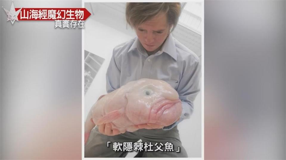 傳說是真的！20世紀曾抓獲人魚　揭8種山海經神話生物現實原形