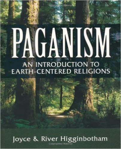 Joyce and River Higginbotham's <i><a href="http://www.amazon.com/Paganism-Introduction-Earth--Centered-Religions/dp/0738702226/ref=sr_1_1?ie=UTF8&amp;qid=1444858897&amp;sr=8-1&amp;keywords=Paganism%3A+An+Introduction+to+Earth-Centered+Religion">Paganism: An Introduction To Earth-Centered Religions</a>&nbsp;</i>is a true overview, as the title promises. The book is based on a course on paganism&nbsp;that the authors have taught for over&nbsp;a decade, and it comes with&nbsp;exercises, meditations and discussion questions for group or individual study.