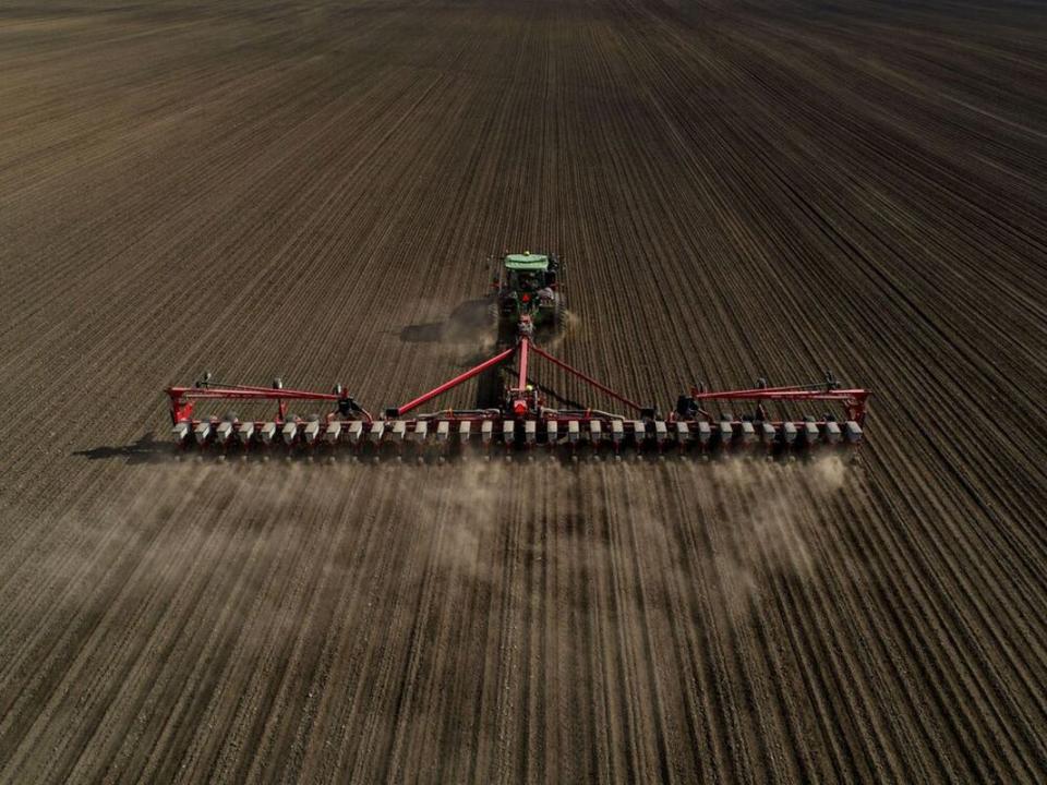 Tractor Planting Corn Seed In A Field