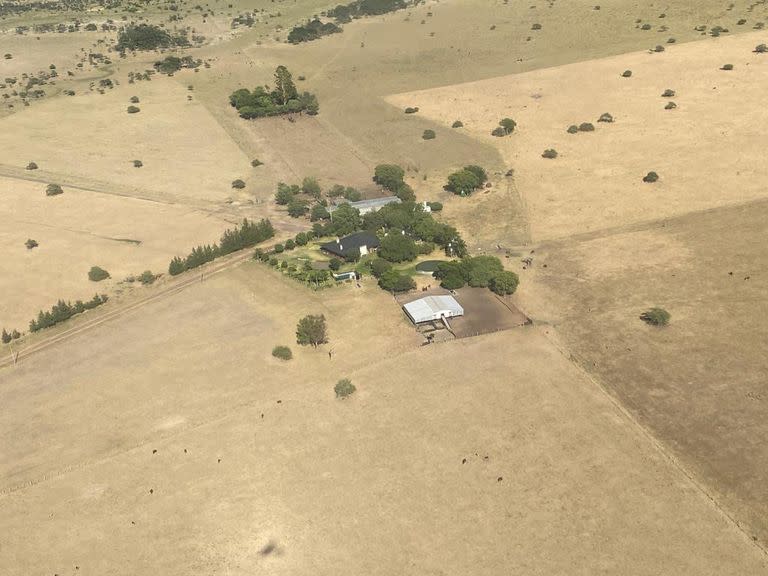 Un campo en el norte entrerriano, cerca de Chajarí