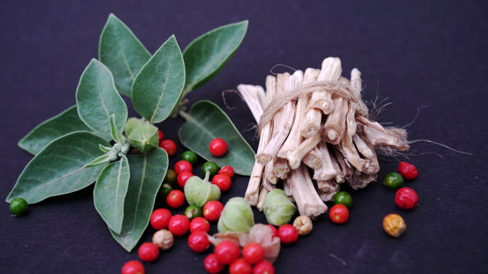 Die Wurzeln und Blätter der Ashwagandha werden für Nahrungsergänzungsmittel verwendet. (Bild: Getty Images). 