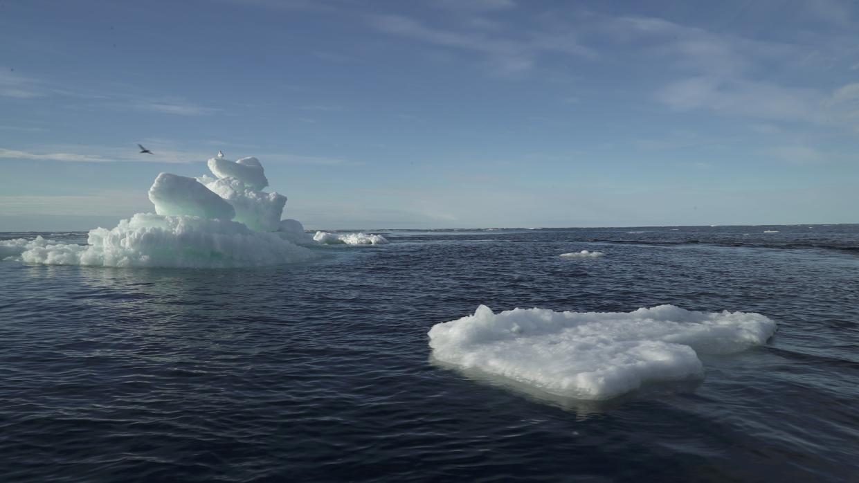 Floating ice in the Arctic Ocean in September 2020 (via REUTERS)
