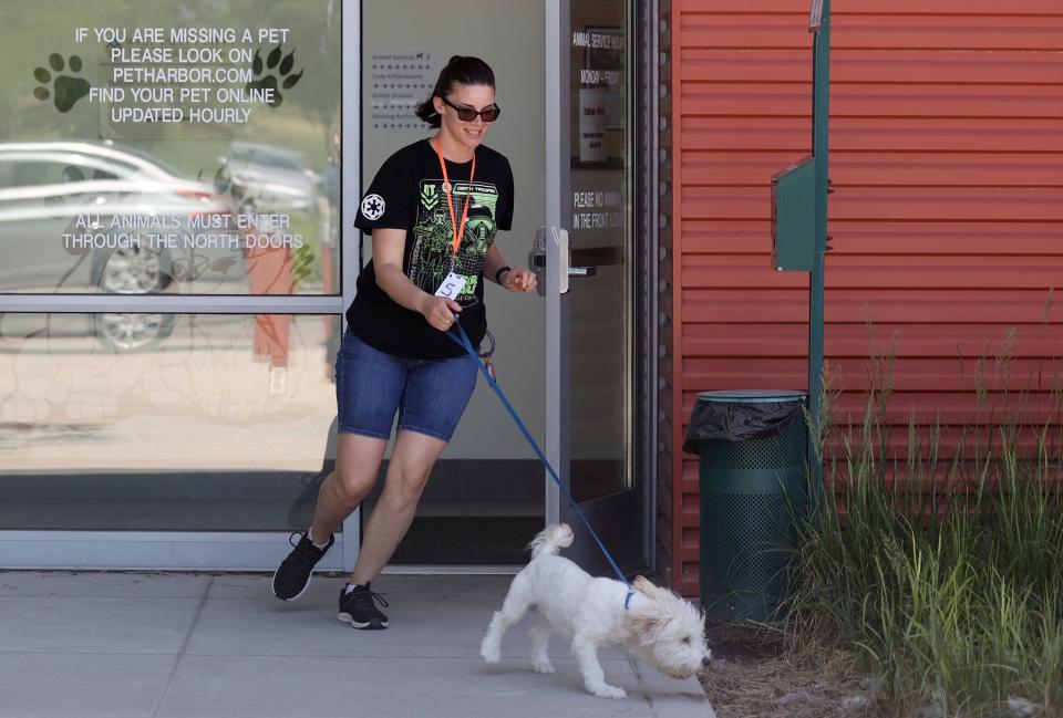 Volunteer Kelly Ferguson takes Puddles, who is available for adoption, for a walk outside of the West Valley City Animal Shelter in West Valley City on Wednesday, June 21, 2023. | Kristin Murphy, Deseret News