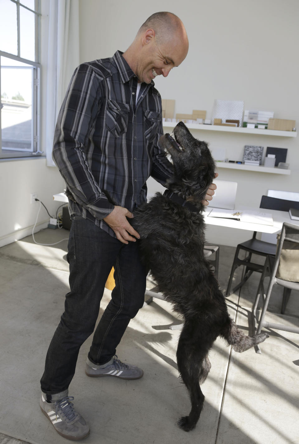 Martin Sprouse with 'Grady', an Airedale Terrier-Irish Wolfhound mix, Thursday, April 18, 2013, in Oakland, Calif. After his owner brought the dog to the Kauai Humane Society because he was moving, the dog with the big brown eyes languished for four months, said shelter operations manager Brandy Varvel. But now Grady is living in a spacious California loft with a new owner who is admittedly smitten thanks to an arrangement the Kauai Humane Society has with the East Bay SPCA in Oakland. The Kauai Humane Society has been reaching out since December to Hawaii tourists willing to bring a little extra baggage, one of the island’s many strays and abandoned dogs, when returning to the Bay Area. The dogs are mostly mixed breeds derived from Airedales, whippets and hounds; breeds which are used in the Hawaii Islands to hunt feral pigs. (AP Photo/Ben Margot)