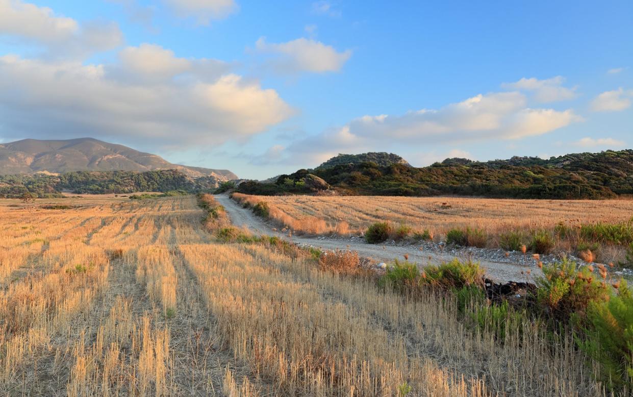 Autumn landscape in sunset light, Rhodes Island, Greece