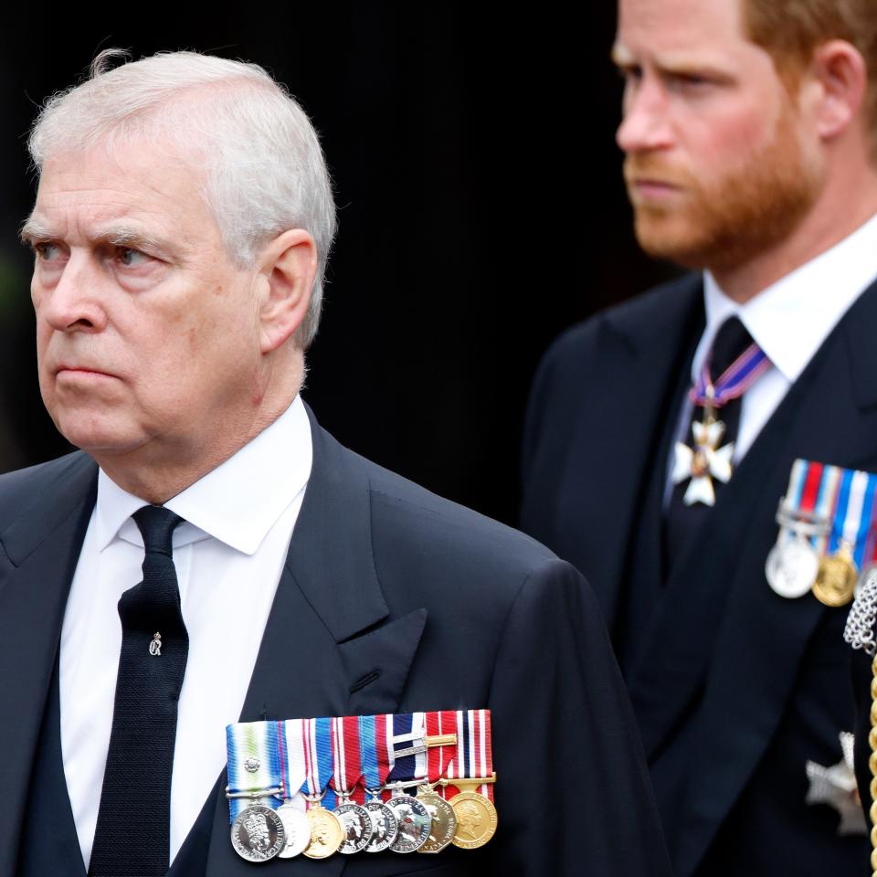  Prince Andrew and Prince Harry. 