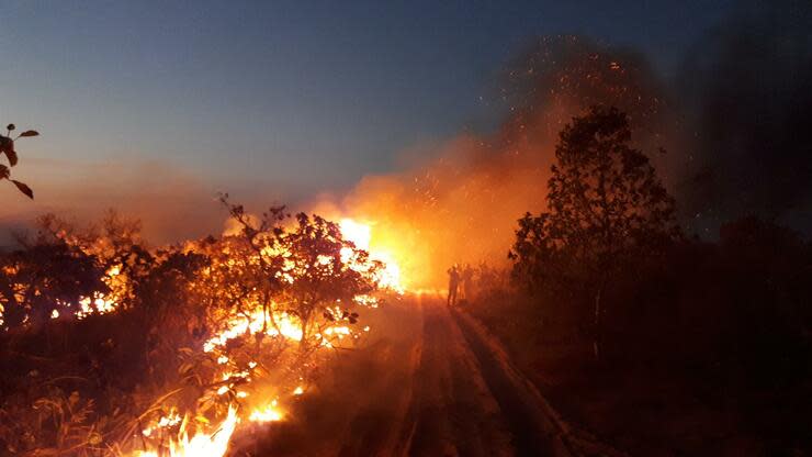 Einige EU-Staaten sind empört über das mangelnde Engagement der brasilianischen Regierung gegen die Feuer im Regenwald. Foto: dpa