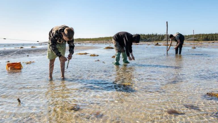 Las arrugas de los dedos pudieron evolucionar en algún punto de nuestro pasado para ayudarnos a agarrar objetos y superficies mojadas