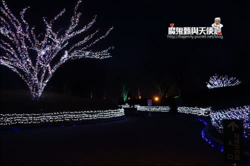 《日本名古屋半自助之旅》長島名花之里(なばなの里)．冬季燈光秀(冬華競演)