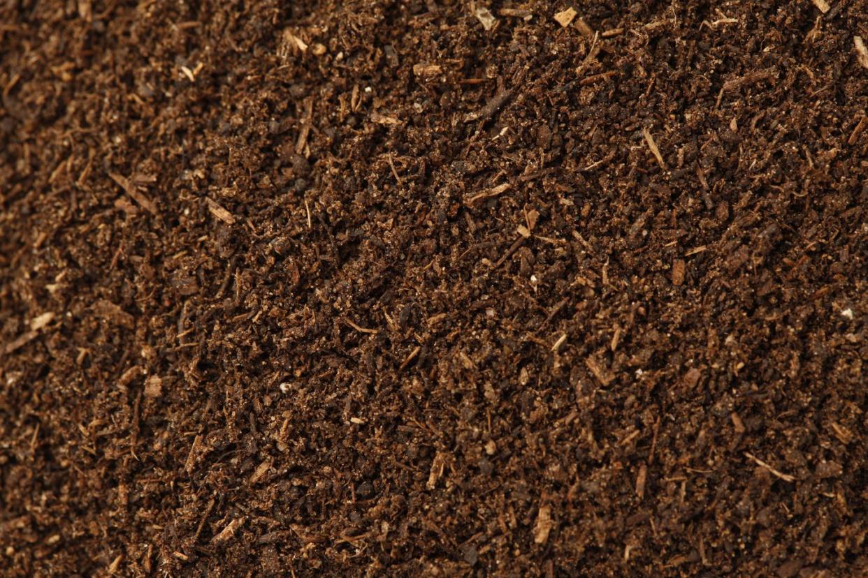 best mulch for flower beds compost