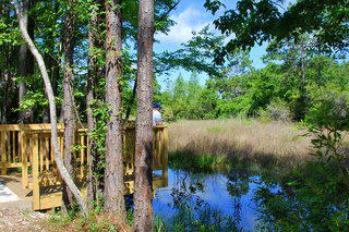 Gulf State Park