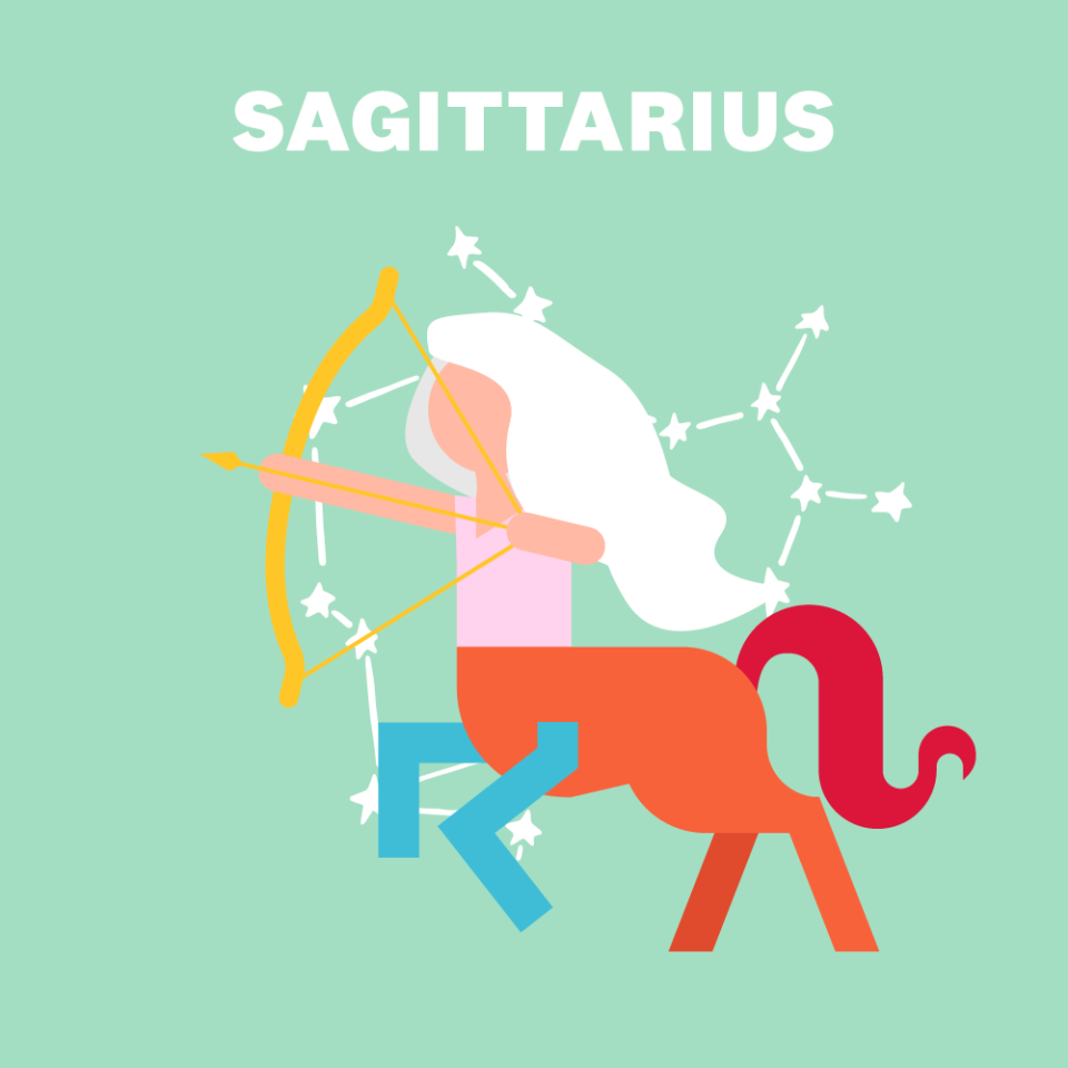 SAGITTARIUS (NOVEMBER 22–DECEMBER 21)