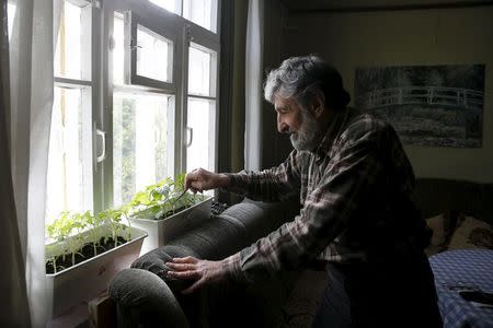 Pensioner Eduard Pischik demonstrates how he tends to vegetable sprouts and seeds at his house in the town of Zvenigorod in Moscow region, Russia, April 11, 2016. REUTERS/Maxim Zmeyev