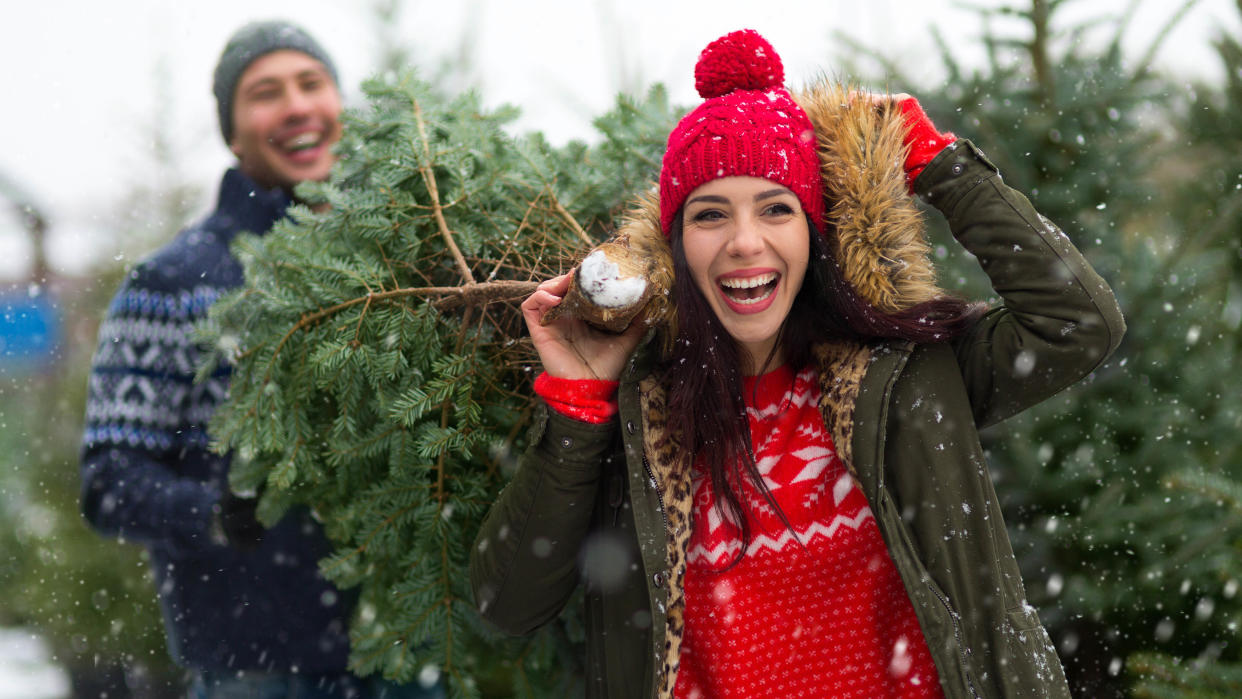  A man and a woman carrying a Christmas tree. 