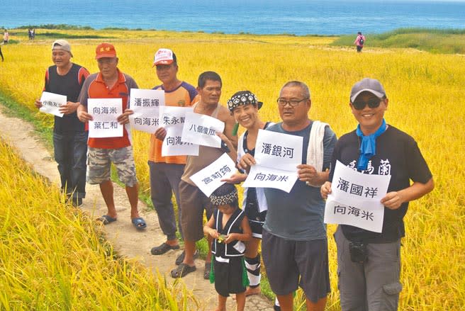 花蓮縣豐濱鄉新社部落擁有台灣最大的臨海梯田，被當地噶瑪蘭族人視為「萬物養生之地」，部落裡的「8個傻瓜」，8年前重拾鋤頭，依循傳統農法，恢復金黃稻浪景象。（羅亦晽攝）