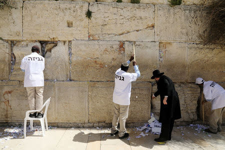 Men, including Western Wall Rabbi Shmuel Rabinowitz, clear notes placed in the cracks of the Western Wall, Judaism's holiest prayer site, to create space for new notes ahead of the Jewish holiday of Passover, in Jerusalem's Old City, March 20, 2018. REUTERS/Ammar Awad