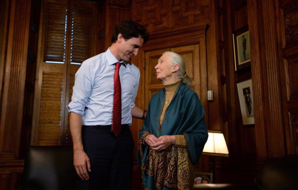 Prime Minister Justin Trudeau meets with Jane Goodall, British primatologist, ethologist, anthropologist, and UN Messenger of Peace in his office on Parliament Hill in Ottawa on Monday, April 11, 2016. THE CANADIAN PRESS/Sean Kilpatrick