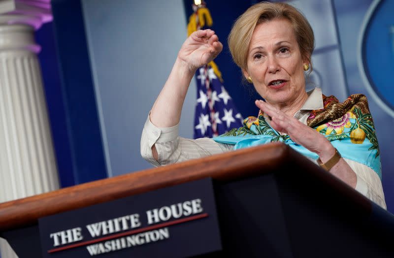 White House coronavirus response coordinator Dr. Deborah Birx speaks at the daily coronavirus response briefing at the White House in Washington