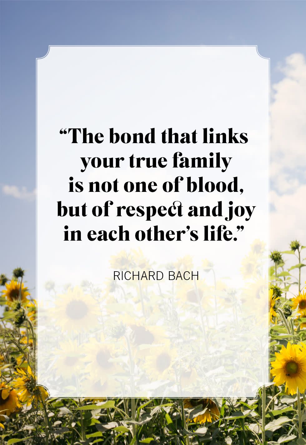richard bach family quotes