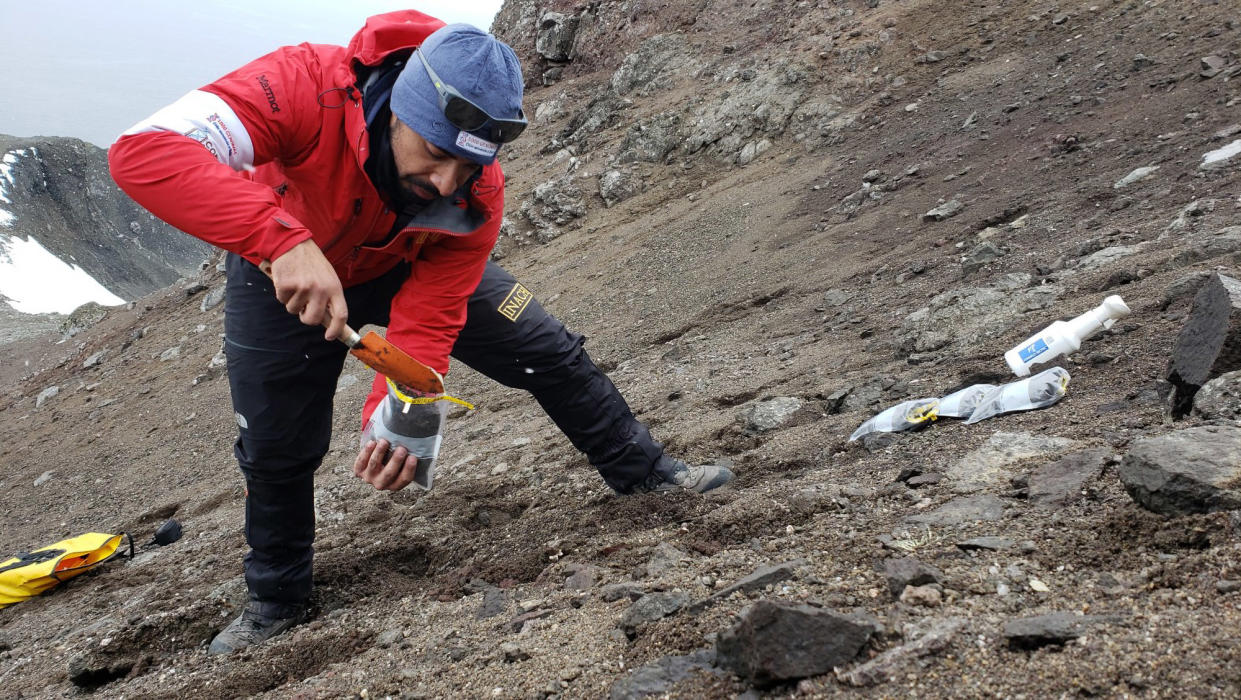 Scientists digging for bacteria in Antarctica. Source: Universidad de Chile/Newsflash/Australscope