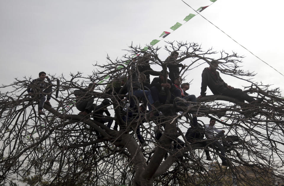 Palestinians sit in a tree to view a mass rally marking the 31st anniversary of the founding of Hamas, an Islamic political party, which has an armed wing of the same name, that currently rules in Gaza, Sunday, Dec. 16, 2018, in Gaza city. (AP Photo/Khalil Hamra)