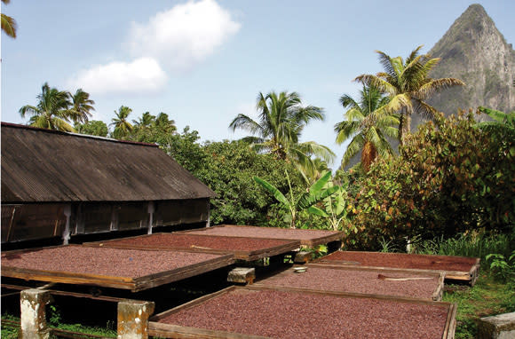 You can find after-dark zip-lining and self-picked chocolate in St. Lucia. (Photo: Hotel Chocolat)