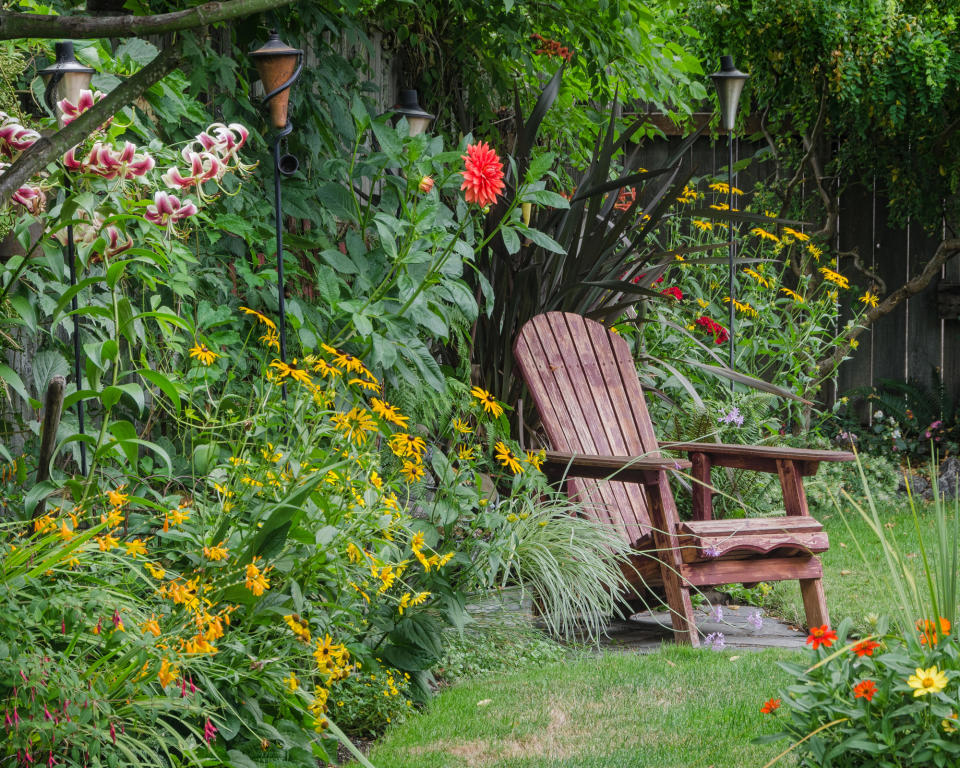 16. Fill bare patches with bright annuals