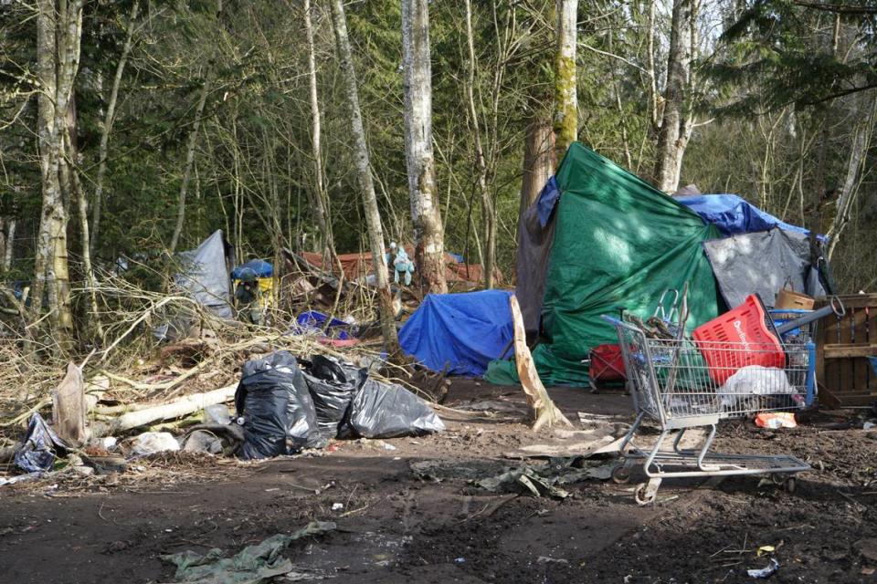 A tent and shopping cart are seen at the entrance to the encampment located behind Walmart on March 9, 2024, in Bellingham, Wash.