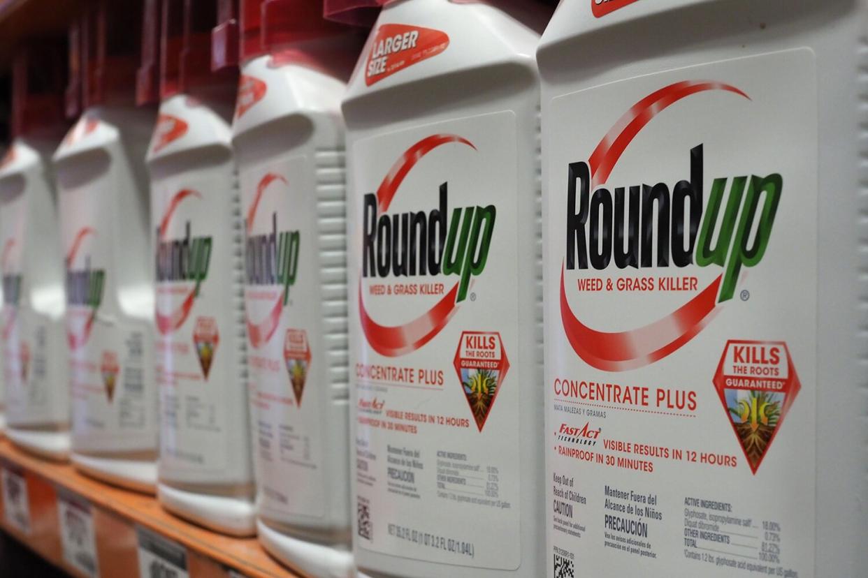 Bottles of Monsanto's Roundup are seen for sale June 19, 2018 at a retail store in Glendale, California. - A former groundskeeper who contracted terminal cancer after years of working with Roundup, a popular herbicide which Monsanto claims to be safe, is suing the chemical giant over allegations that exposure to the active ingredient in Roundup, a chemical called glyphosate, caused his non-Hodgkin lymphoma (NHL). San Francisco Superior Court Judge Suzanne Ramos Bolanos has been assigned to the trial which is tentatively expected to begin on June 21.