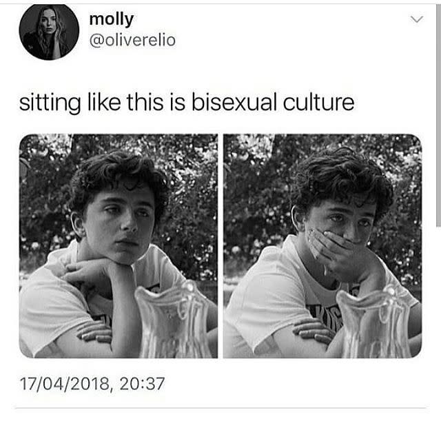 22) Bisexual memes