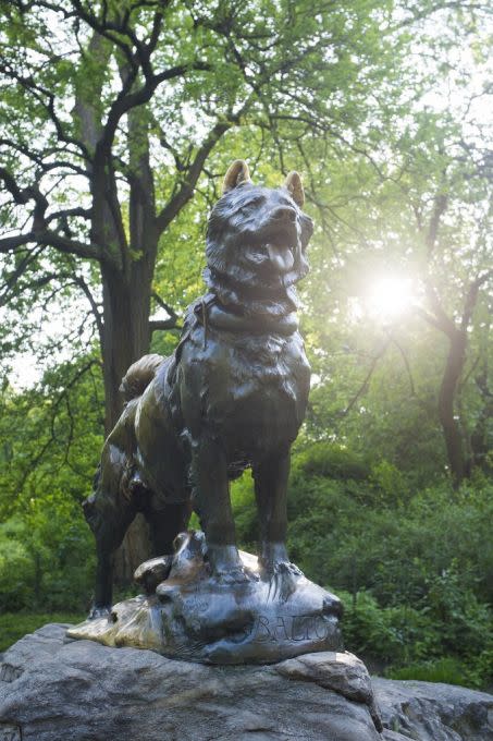 Statue du chien Balto a Central Park (New York, Etats-Unis) Crédit : Antoine Boureau / Hans Lucas / Hans Lucas via AFP