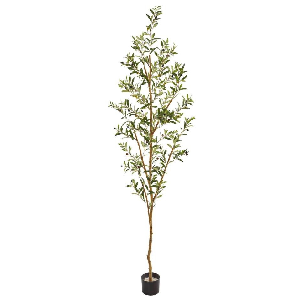 <p><a href="https://go.redirectingat.com?id=74968X1596630&url=https%3A%2F%2Fwww.nearlynatural.com%2Fproducts%2F82-olive-artificial-tree&sref=https%3A%2F%2Fwww.elledecor.com%2Fdesign-decorate%2Fg60399178%2Fbest-faux-olive-trees%2F" rel="nofollow noopener" target="_blank" data-ylk="slk:Shop Now;elm:context_link;itc:0;sec:content-canvas" class="link ">Shop Now</a></p><p>Artificial Olive Tree</p><p>nearlynatural.com</p><p>$71.00</p>