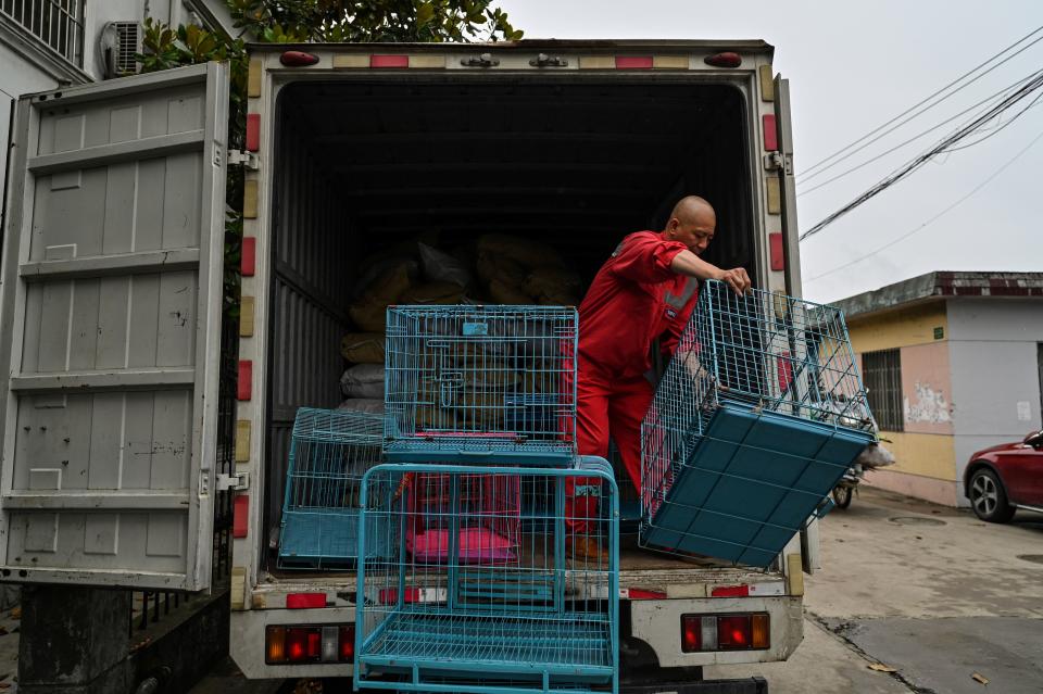 <p>Cuenta que en los últimos años hay más animales abandonados en las calles. Según medios estatales chinos, en 2019 la cifra superaba los 50 millones. (Foto: Hector Retamal / AFP / Getty Images).</p> 