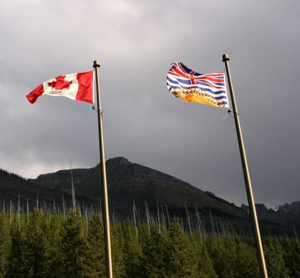 Some people say British Columbia should change its name to reflect something other than its colonial past. (Tupungato/Shutterstock  - image credit)