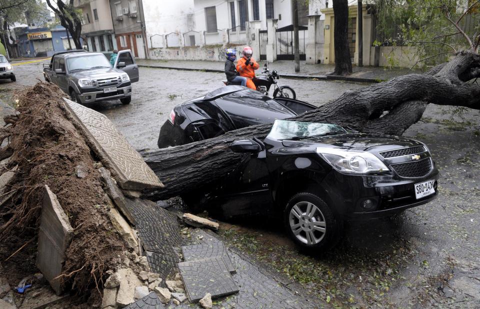 A fallen tree lays on a car during a heavy wind storm in Montevideo, Uruguay, Wednesday, Sept. 19, 2012. A powerful storm blew across the southern cone of South America, breaking windows in several buildings in Uruguay's capital, toppling about a hundred trees and cutting off three highways due to flooding. (AP Photo/Matilde Campodonico)