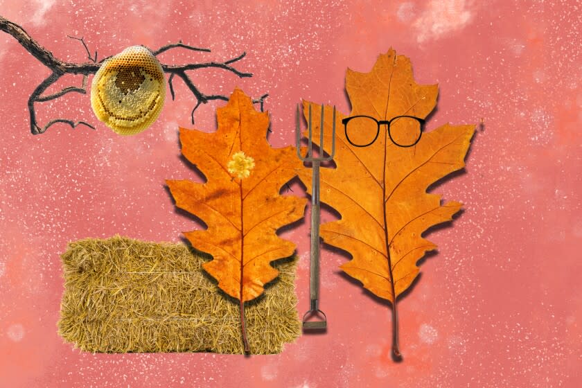 oak leaves graphic in the style of "American Gothic"