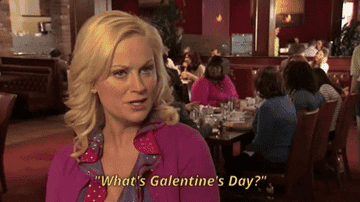 Amy Poehler says Galentines Day is the best day of the year