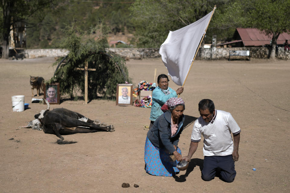 Indígenas rarámuri colocan una bandera de la paz y usan incienso en la ceremonia sagrada Yúmari donde una vaca es sacrificada antes de ser cocinada para los asistentes, junto a un altar que tiene fotografías de dos curas jesuitas asesinados Javier Campos y Joaquín Mora, en Cuiteco, México, el viernes 10 de mayo de 2024. Entre los habitantes de las montañas de Tarahumara, especialmente entre los indígenas rarámuri, los sacerdotes son a menudo percibidos como figuras profundamente queridas que ofrecen ayuda. (AP Foto/Eduardo Verdugo)