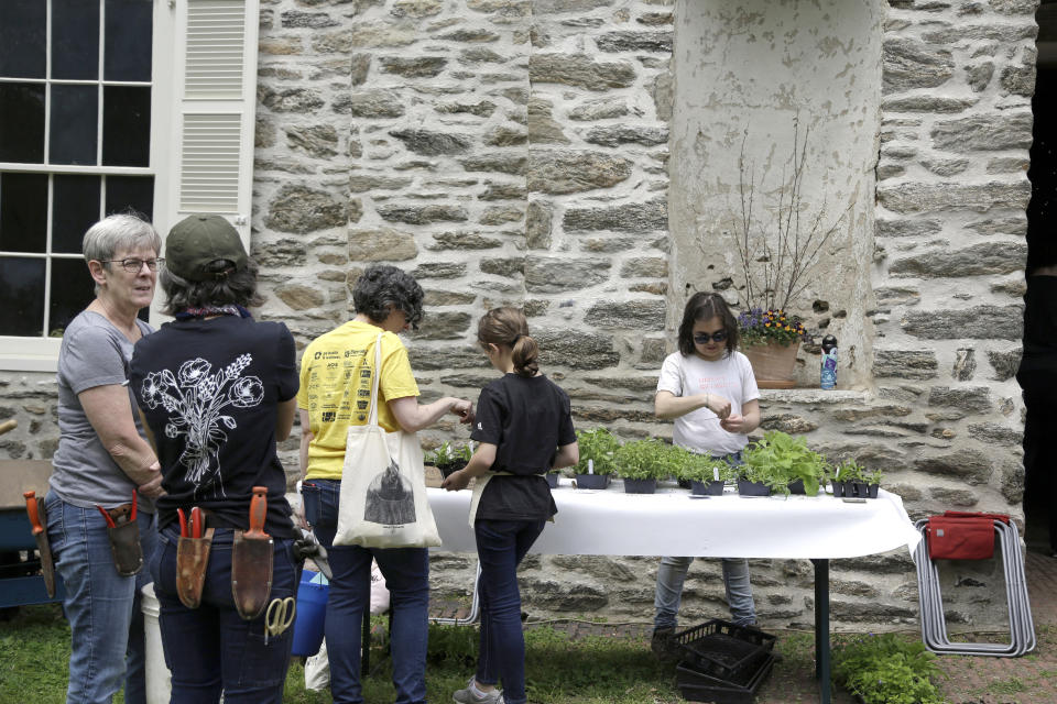 Volunteers select plants for the Grave Gardeners program, in front of the former stable at The Woodlands, Saturday May 4, 2019 in Philadelphia. The cemeteries of yore existed as much the living as for the dead. And a handful of these 19th century graveyards are restoring the bygone tradition of cemetery gardening. (AP Photo/Jacqueline Larma)