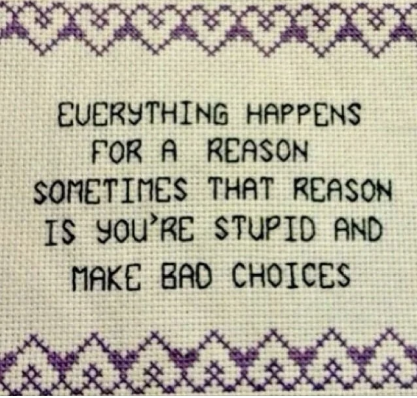 Cross-stitch pattern with the humorous message: "Everything happens for a reason, sometimes that reason is you're stupid and make bad choices."