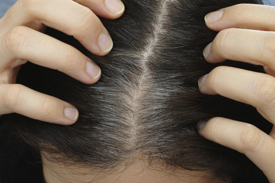 Going gray. Young woman shows her gray hair roots.