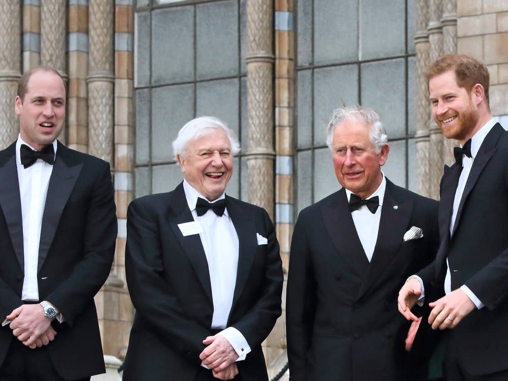 Prinz William (v.l.) bei einem gemeinsamen Termin mit Sir David Attenborough, dem heutigen König Charles III. und Prinz Harry im Jahr 2019. (Bild: imago/ZUMA Wire)