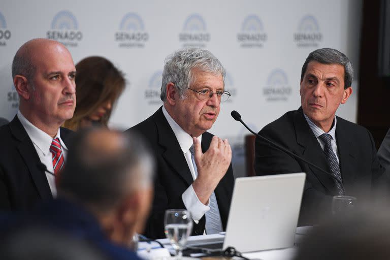 Gabriel Rubinstein en el Senado