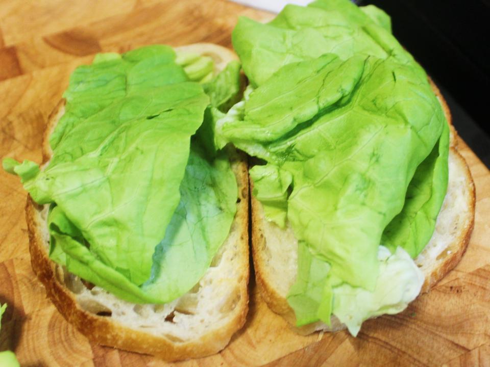 lettuce on two slices of bread