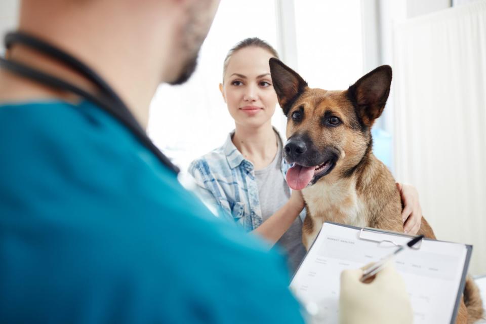 woman visiting veterinarian with dog