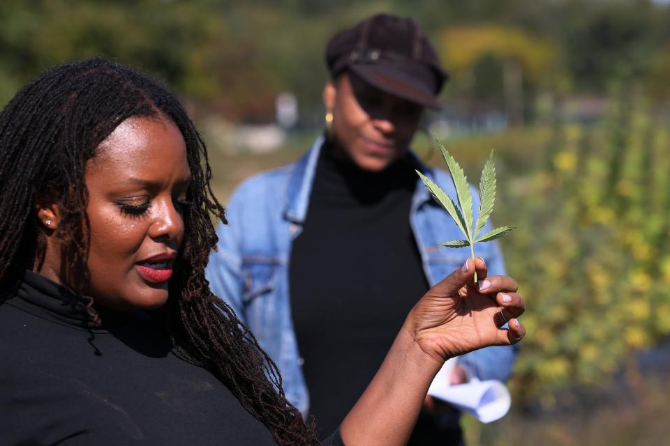 In this file photo, Jasmine Burems, co-owner of Claudine Field Apothecary farms, gives a tour of her farm on Oct. 07, 2022, in Columbia County, N.Y., to visitors from the state's Office of Cannabis Management.