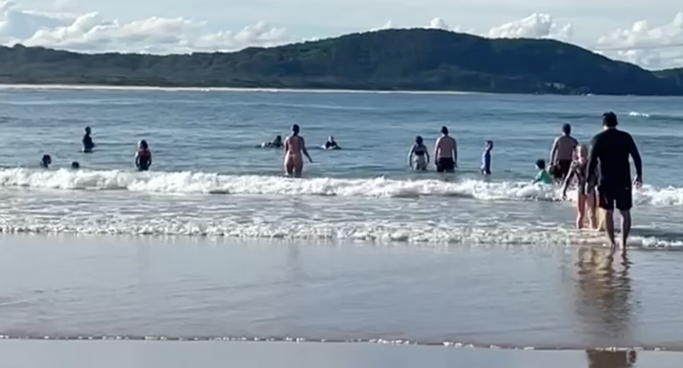 More than a dozen swimmers and surfers spotted in a small area of the beach situated in Limeburners Creek National Park.